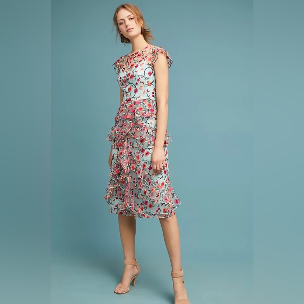 NWT Monique Lhuillier Embroidered Dress Floral Chiffon Ruffle Cocktail Sz 6